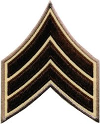 "SGT" SERGEANT BROWN on BEIGE CHEVRONS - SOLD in PAIRS